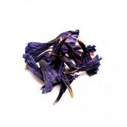 گل گاوزبان فله